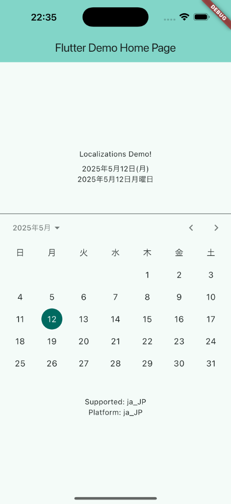 localize date ja_JP