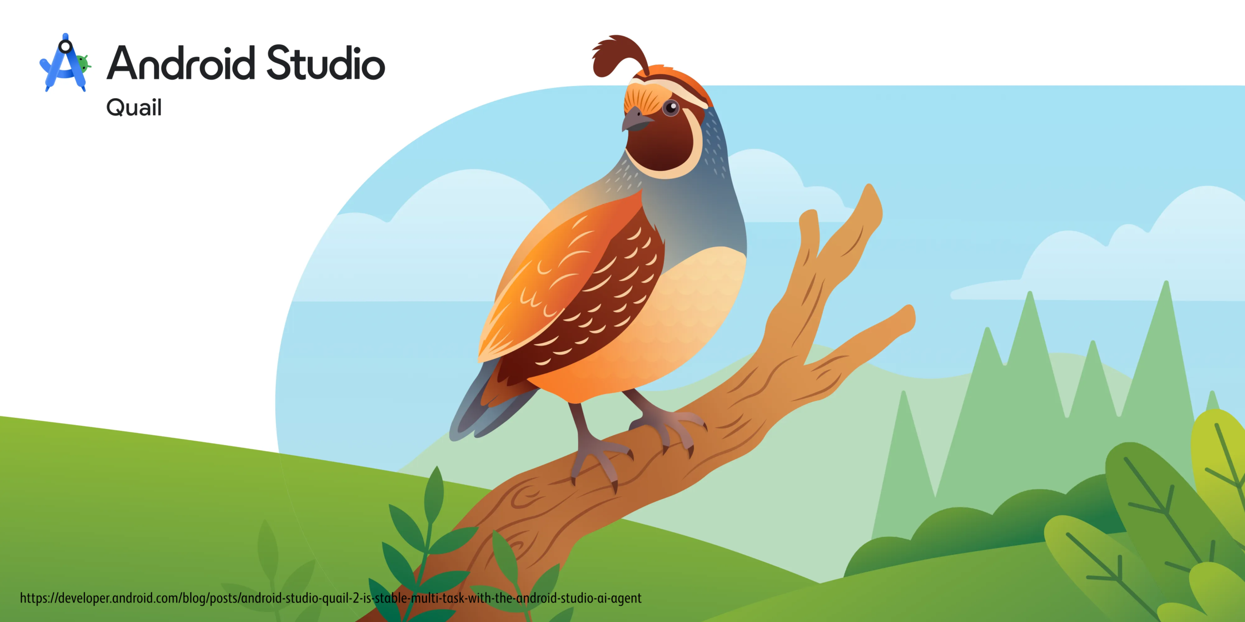 quail